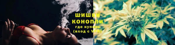 сатива Пересвет