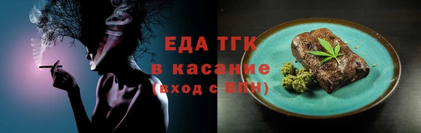 гашик Пестово