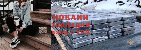 гашик Пестово