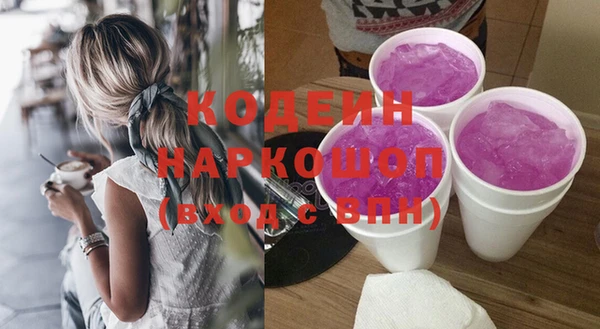гашик Пестово