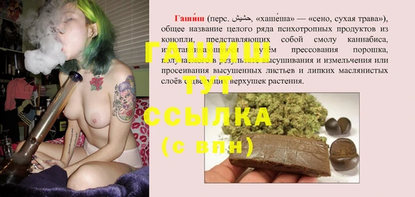 сатива Пересвет