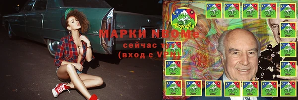 сатива Пересвет