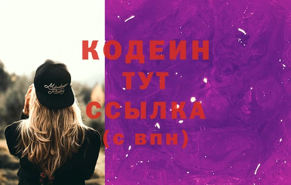 сатива Пересвет